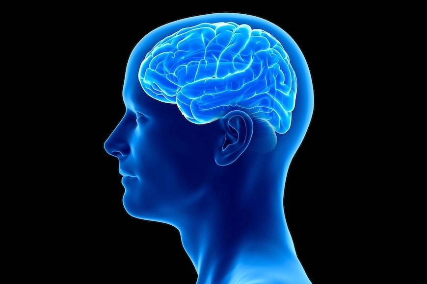 Obdukcija mozga otkrila zašto lijek protiv Alzheimera ne djeluje
